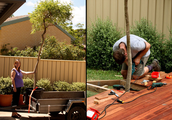 Decking