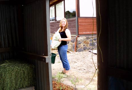 Meg with lucerne