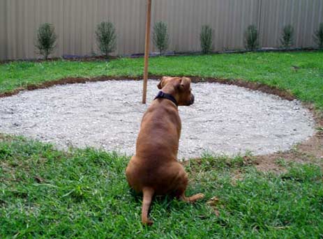 building inspector