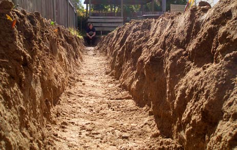 The Trench