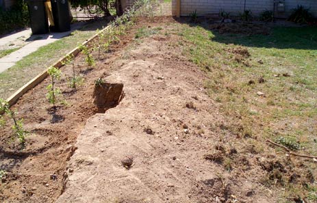 Digging away the old mound