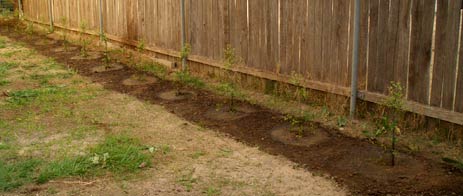 Finished job 1