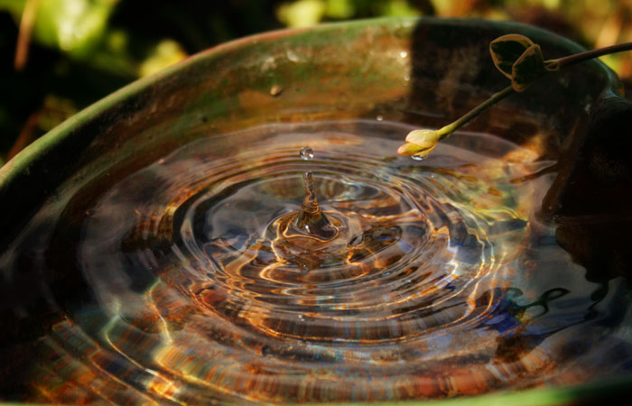 Water drop